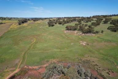 Other (Rural) For Sale - WA - Beverley - 6304 - Wilgy Hill Farm                                                              365.58ha (902.98acres)  (Image 2)