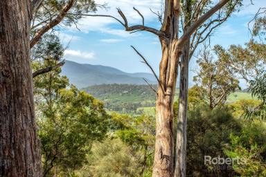 Residential Block For Sale - TAS - Apslawn - 7190 - Position, Privacy & Potential on Cherry Tree Hill  (Image 2)