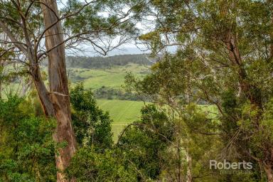Residential Block For Sale - TAS - Apslawn - 7190 - Position, Privacy & Potential on Cherry Tree Hill  (Image 2)