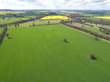 Cropping For Sale - NSW - Culcairn - 2660 - Versatile Mixed Farming and Grazing  (Image 2)