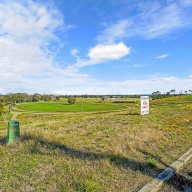 Residential Block Auction - NSW - Raymond Terrace - 2324 - JUST 4 LOTS AVAILABLE - ROSLYN PARK ESTATE!  (Image 2)
