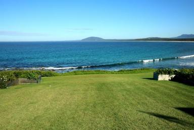 House For Lease - NSW - Gerroa - 2534 - Application Approved - Awaiting Deposit  (Image 2)
