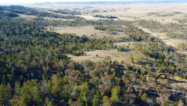 Lifestyle For Sale - NSW - Cooma - 2630 - Massive Potential
Lot 9 DP 255743  Lot 52 DP 737382 and Lot 145 DP 750524  (Image 2)