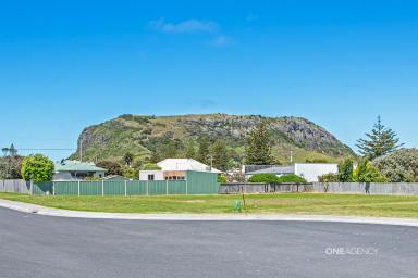 House For Sale - TAS - Stanley - 7331 - Neat as a pin in tightly held location  (Image 2)