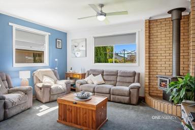 House For Sale - TAS - Smithton - 7330 - Neat, conveniently located and affordable!  (Image 2)