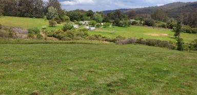 Acreage/Semi-rural For Sale - NSW - Billys Creek - 2453 - Opportunity to be totally of Grid and fully self sufficient.  (Image 2)