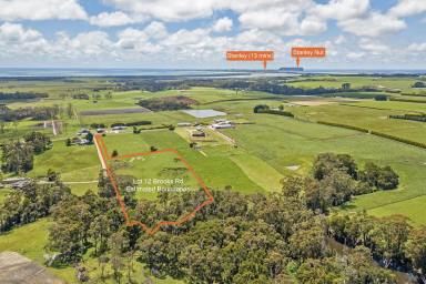 Residential Block For Sale - TAS - Forest - 7330 - Near 5 acre block in prime location  (Image 2)