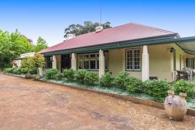 House Sold - WA - Bridgetown - 6255 - ONCE IN A GENERATION OPPORTUNITY!  (Image 2)