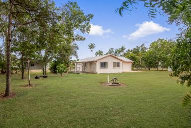 House For Sale - QLD - Alligator Creek - 4816 - Family Home, massive sheds, pool and pizza oven on acreage in Alligator Creek  (Image 2)