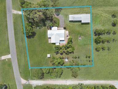 House For Sale - QLD - Alligator Creek - 4816 - Family Home, massive sheds, pool and pizza oven on acreage in Alligator Creek  (Image 2)