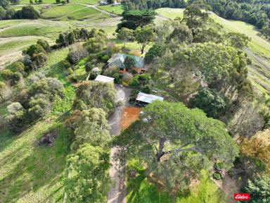 Other (Rural) For Sale - VIC - Wild Dog Valley - 3953 - Your Private Self-Sufficient Lifestyle Awaits..  (Image 2)