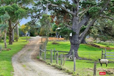 Other (Rural) For Sale - VIC - Wild Dog Valley - 3953 - Your Private Self-Sufficient Lifestyle Awaits..  (Image 2)