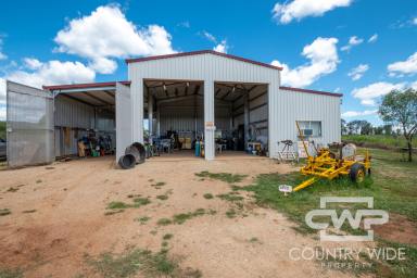Industrial/Warehouse For Sale - NSW - Bingara - 2404 - Highway Frontage Industrial Land With Great Shed  (Image 2)