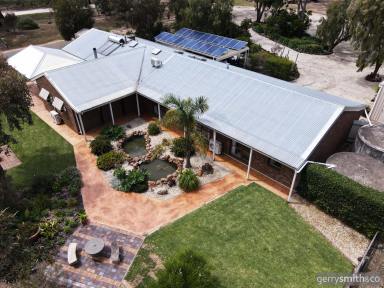 House For Sale - VIC - Horsham - 3400 - HAVEN - SMALL ACREAGE!  (Image 2)