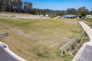 Residential Block For Sale - QLD - Eumundi - 4562 - Multiple Opportunities to Secure Blocks in Eumundi  (Image 2)