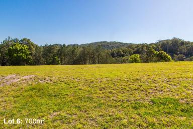 Residential Block For Sale - QLD - Eumundi - 4562 - Multiple Opportunities to Secure Blocks in Eumundi  (Image 2)