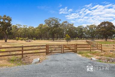 Residential Block Sold - VIC - Ascot - 3551 - Titled Boutique Lifestyle Allotment – 2.72 Acres  (Image 2)