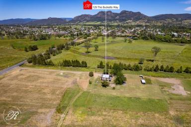 Lifestyle Sold - NSW - Gloucester - 2422 - River Front Acres - Great Location!  (Image 2)