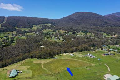 Residential Block Sold - TAS - Collinsvale - 7012 - Rural Living with Magical Views  (Image 2)