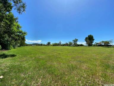 Residential Block Sold - QLD - Hull Heads - 4854 - BUILD YOUR DREAM HOME HERE  (Image 2)