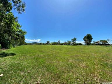 Residential Block For Sale - QLD - Hull Heads - 4854 - BUILD YOUR DREAM HOME HERE  (Image 2)