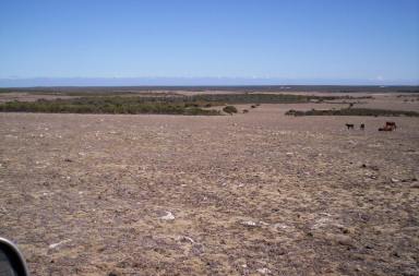 Other (Rural) For Sale - WA - Cervantes - 6511 - SEA CHANGE - with a view  (Image 2)