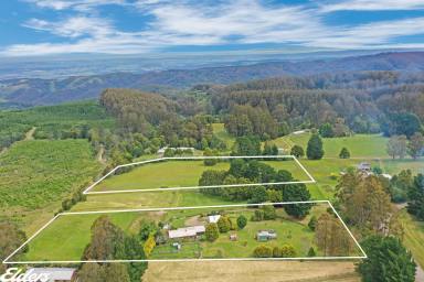 Farmlet For Sale - VIC - Blackwarry - 3844 - GRAND PANORAMIC VIEWS AND 9 ACRES!  (Image 2)