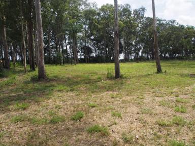 Residential Block For Sale - QLD - Horton - 4660 - HALF AN ACRE IN A QUIET RESIDENTIAL AREA  (Image 2)