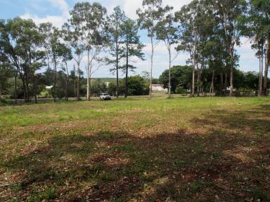 Residential Block For Sale - QLD - Horton - 4660 - HALF AN ACRE IN A QUIET RESIDENTIAL AREA  (Image 2)