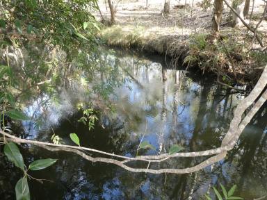 Other (Rural) For Sale - QLD - South Isis - 4660 - LARGE ACREAGE WITH PERMAENENT CREEK  (Image 2)