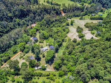 House Sold - NSW - Darkwood - 2454 - Pristine Water, Glorious Mountain Views and 38 Productive Acres  (Image 2)