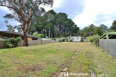 Residential Block Sold - VIC - Healesville - 3777 - Ideal Starter!  (Image 2)