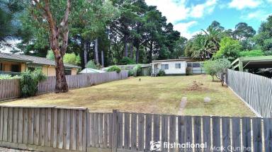 Residential Block Sold - VIC - Healesville - 3777 - Ideal Starter!  (Image 2)
