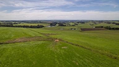 Livestock Sold - VIC - Cooriemungle - 3268 - Magnificent Lifestyle Opportunity  (Image 2)