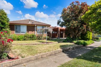 House Sold - VIC - Wangaratta - 3677 - Super Starter  (Image 2)