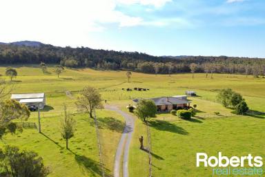 House Sold - TAS - Beaconsfield - 7270 - Productive Potential Plus!  (Image 2)