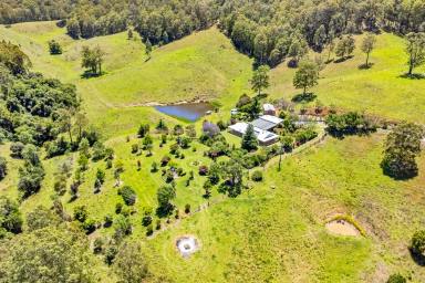 Lifestyle Sold - NSW - Gloucester - 2422 - Serenity Now!  (Image 2)