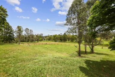 Residential Block For Sale - QLD - Dayboro - 4521 - Create Your Dream Property!  (Image 2)