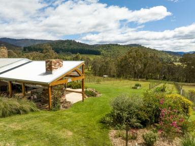 Farmlet For Sale - VIC - Dargo - 3862 - SECLUSION, NO POWER BILLS, NO WATER BILLS AND PRICELESS VIEWS  (Image 2)