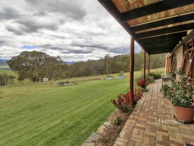 Farmlet For Sale - VIC - Dargo - 3862 - Seclusion, no power bills, no water bills … and priceless views  (Image 2)