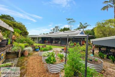 Acreage/Semi-rural Sold - NSW - The Channon - 2480 - The Truly Sustainable 'Tree House'  (Image 2)