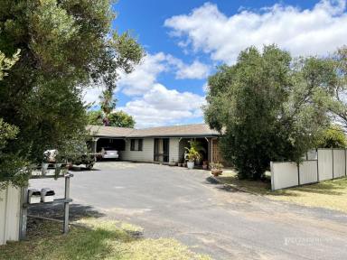 Unit For Sale - QLD - Dalby - 4405 - Very Rare Real Estate offering!  (Image 2)