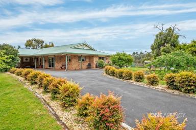 House For Sale - TAS - Smithton - 7330 - Brick Home On 9 Acres Within A Stones Throw From Town  (Image 2)