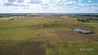 Livestock For Sale - QLD - Brymaroo - 4403 - BRYMAROO WELL DEVELOPED GRAZING PROPERTY - 272ACRES - PERFECT LOCATION FOR YOUR RURAL ESCAPE  (Image 2)