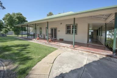 Acreage/Semi-rural Sold - VIC - Swan Hill - 3585 - Metres from the Murray  (Image 2)