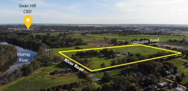 Acreage/Semi-rural Sold - VIC - Swan Hill - 3585 - Metres from the Murray  (Image 2)