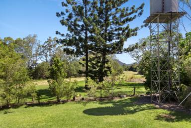 House Sold - QLD - Cooroy - 4563 - Elevated and Partially Cleared 52.36 acres In Cooroy  (Image 2)