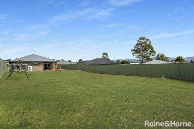 House Leased - NSW - Nowra - 2541 - A Cut Above  (Image 2)