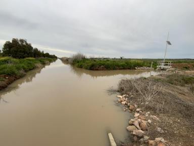 Other (Rural) Sold - NSW - Myall Park - 2681 - GREAT ENTRY-LEVEL IRRIGATION FARM  (Image 2)