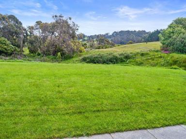 Residential Block For Sale - VIC - Apollo Bay - 3233 - ELEVATED & UNRIVALLED POSITION  (Image 2)